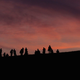 Illustration for article titled Pictures from the 2011 Japanese Grand Prix